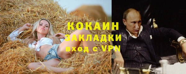хмурый Сосновка