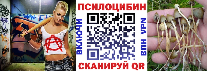 Галлюциногенные грибы MAGIC MUSHROOMS  MEGA ТОР  Зуевка 